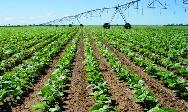Associação de Agricultores e Irrigantes da Bahia - AIBA